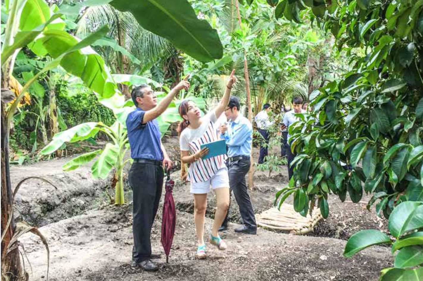 Khu du lịch sinh thái Bưng Bạc (Bà Rịa – Vũng Tàu): Điểm dã ngoại lý tưởng