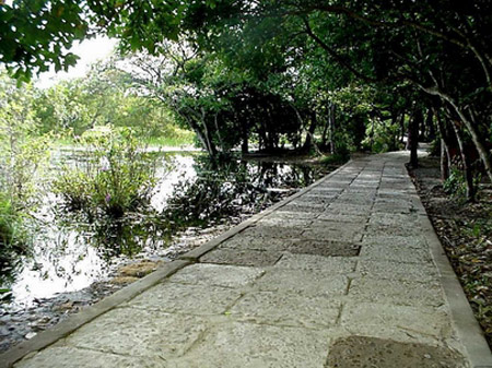 Khu du lịch sinh thái Trằm Trà Lộc, Quảng Trị