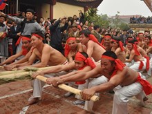 Bắc Ninh: Đề nghị Lễ hội Kéo co lâu đời nhất vùng Kinh Bắc thành Di sản
