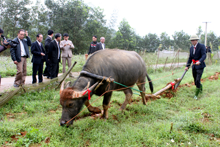 Khai mạc lễ hội sông Hồng năm 2013