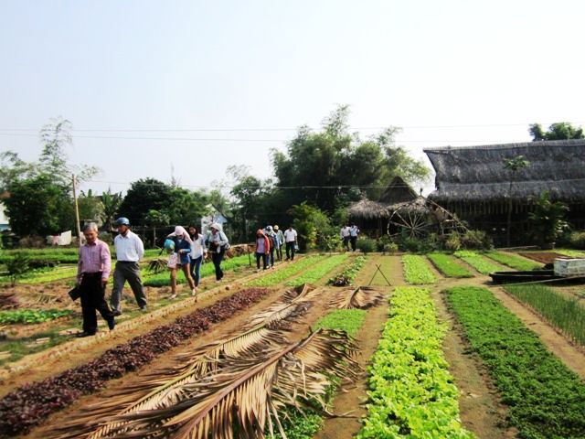 Hội An (Quảng Nam): Khảo sát hoạt động du lịch tại các làng nghề 