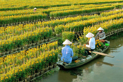 Về Bến Tre du ngoạn làng hoa Sa Đéc - Chợ Lách khoe sắc xuân