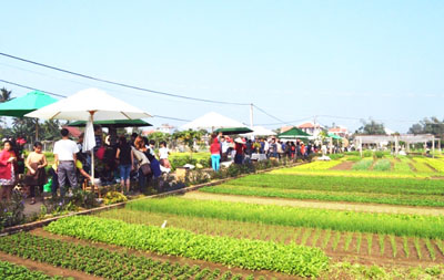 Hội An (Quảng Nam): Giới thiệu “Phiên chợ rau xanh Trà Quế” đến với du khách 