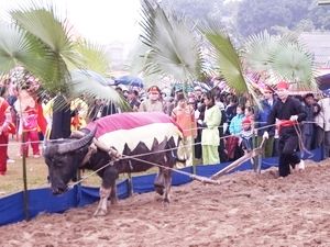 Tuyên Quang: Đề nghị đưa lễ hội Lồng Tông vào danh mục di sản