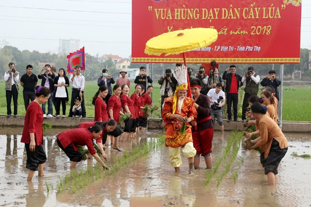 Phú Thọ: Tái hiện cảnh Vua Hùng dạy dân cấy lúa