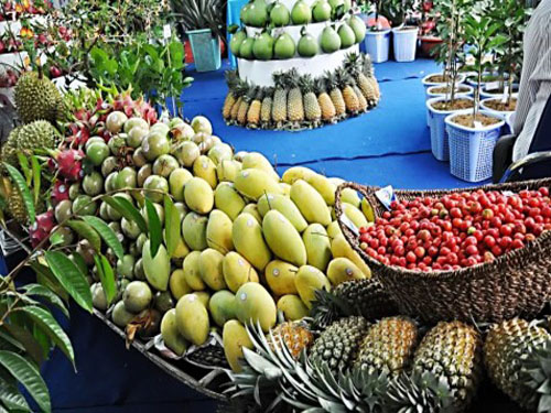 Chợ nổi trái cây Nam bộ 2013 mở cửa đón du khách 
