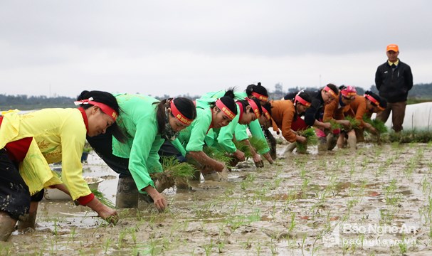 Thanh Chương (Nghệ An) Nô nức “Lễ hội xuống đồng” năm 2018