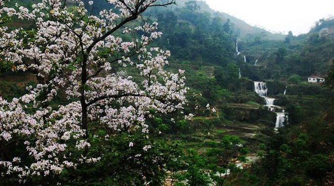 Lễ hội Hoa Ban năm 2018