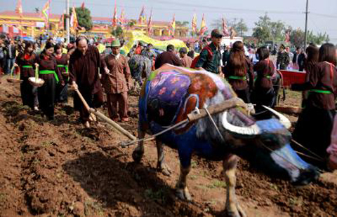 Khai Hội Tịch Điền 2016