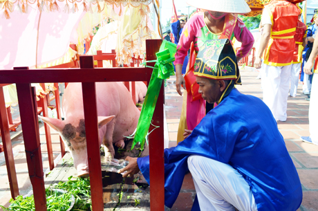 Trước buổi chầu thần tại sân đình, các ông Đám thường tranh thủ cho “Ông Voi” uống nước để giữ sức.