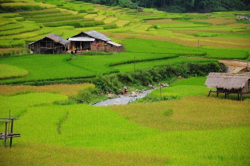 Ngao du đèo dốc Lìm Mông (Yên Bái)