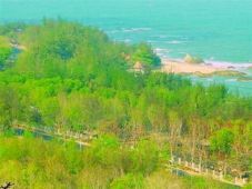 Bà Rịa –Vũng Tàu: Thông qua quy hoạch phát triển du lịch huyện Long Điền 
