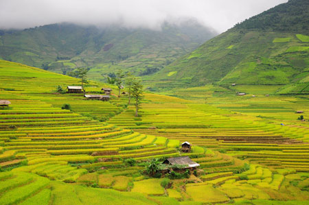 Về miền Tây Bắc bồng bềnh sương khói 