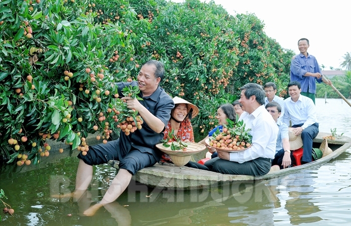 Miệt vườn sông nước Thanh Khê – Tiềm năng du lịch của Hải Dương