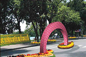 Hà Nội: Tổ chức Lễ hội phố hoa chào đón năm mới 2009