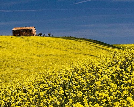 Những nơi mùa xuân đẹp nhất thế giới - www.dulichvn.org.vn