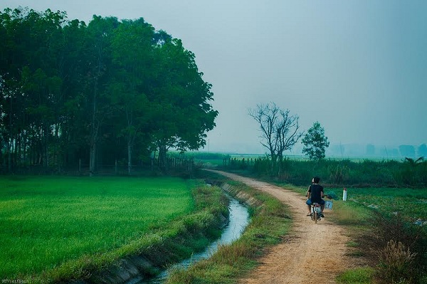 Đẹp nao lòng trước khoảnh khắc yên bình của làng quê Việt