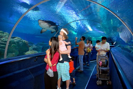 Khánh Hòa đón gần 100.000 lượt khách du lịch trong dịp Tết Tân Mão