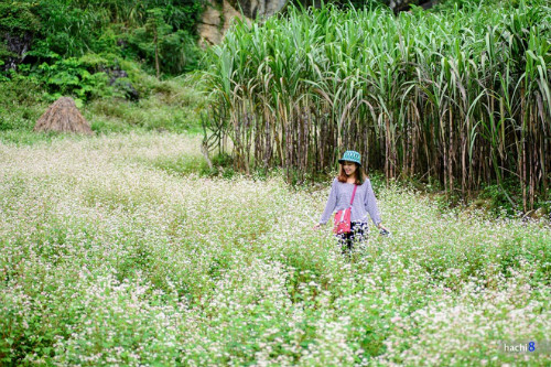 Những trải nghiệm thú vị tại cao nguyên đá Hà Giang