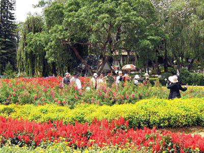 Chào mừng kỷ niệm 1000 năm Thăng Long - Hà Nội: Sẽ có một Festival hoa Đà Lạt rực rỡ sắc màu