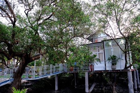Bình Thuận: Khánh thành khu du lịch sinh thái rừng ngập mặn