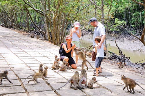 Đến Cần Giờ đừng quên bỏ qua những điểm tham quan thú vị này