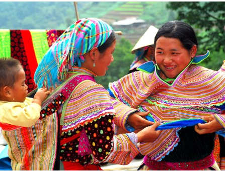 Nồng say cao nguyên trắng Bắc Hà (Lào Cai)