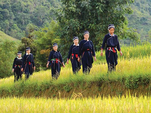 Hướng đi đúng cho du lịch Hoàng Su Phì – Hà Giang