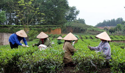 Thái Nguyên: Phát huy tiềm năng du lịch làng nghề 