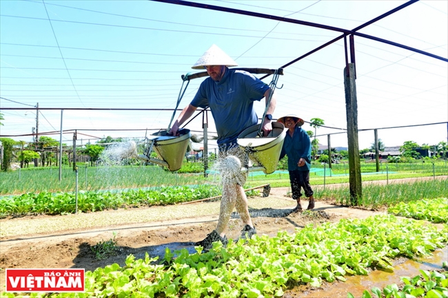 Triển vọng phát triển du lịch nông nghiệp ở Quảng Nam