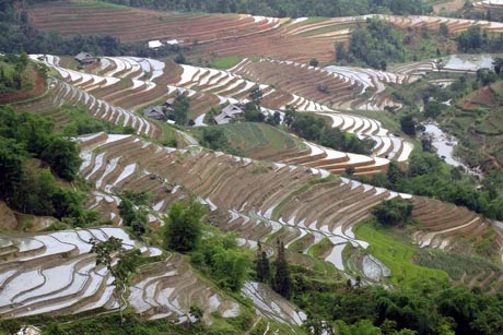 Ruộng bậc thang Hoàng Su Phì mùa đổ nước