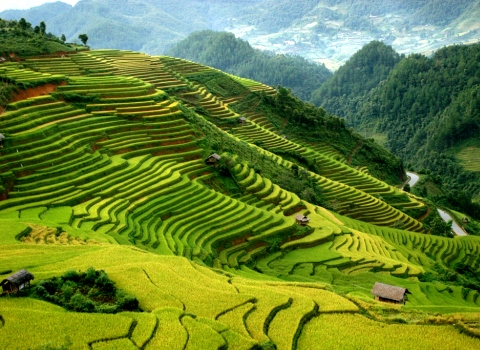 Xếp hạng 3 di tích quốc gia cho tỉnh Quảng Nam và Lào Cai