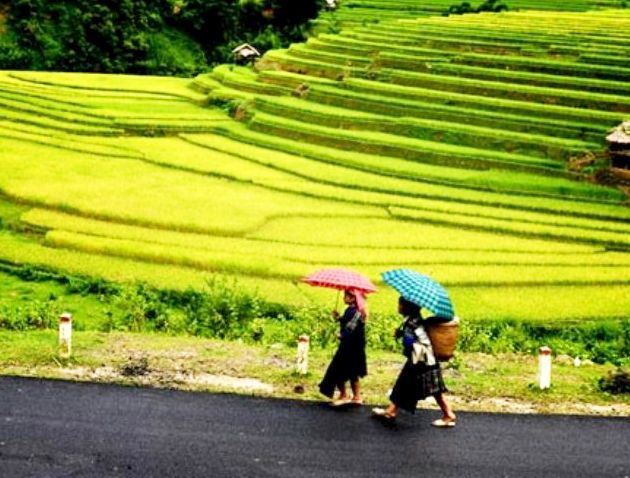 Mở tuyến du lịch cao tốc Yên Bái – Sa Pa (Lào Cai)