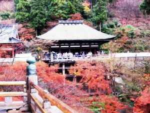 Đến Nhật Bản tham quan chùa Kiyomizudera uống nước thiêng