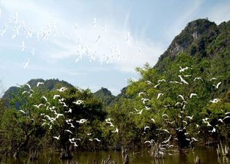 Thung Chim - Điểm du lịch thơ mộng ở Ninh Bình