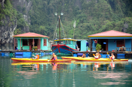 Chèo thuyền Kayak khám phá Vịnh Hạ Long