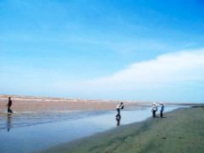 Thái Bình: Tiềm năng du lịch sinh thái ở Khu bảo tồn thiên nhiên Tiền Hải