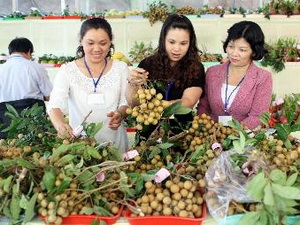 Đẩy mạnh xúc tiến đầu tư thương mại-du lịch ĐBSCL