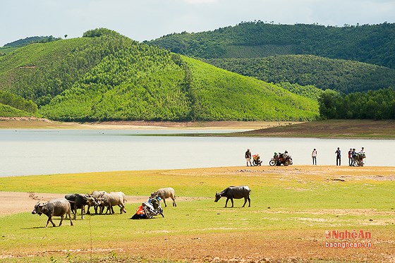 Trải nghiệm “đêm ngàn sao” trên đập Vệ Vừng – Nghệ An