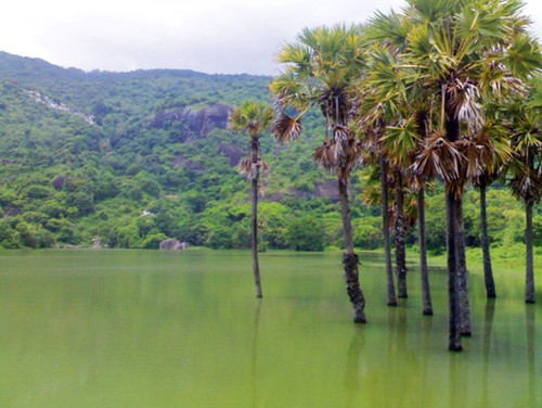 Vẻ đẹp vùng Bảy Núi ở Tri Tôn (An Giang)