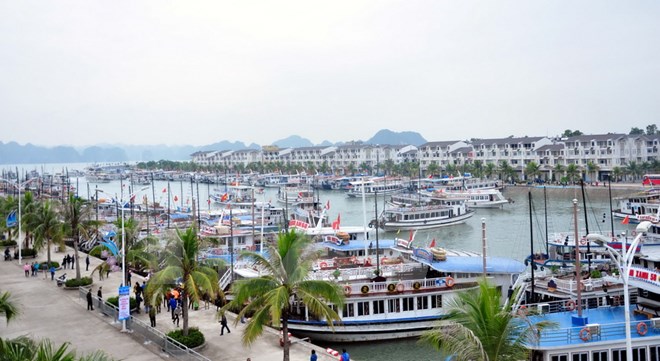 Tỉnh Quảng Ninh có ý kiến về việc thu phí qua Cảng Tuần Châu