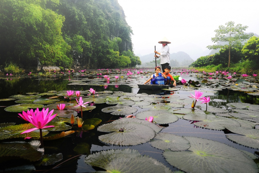 Suối Yến - Chùa Hương đẹp lãng mạn mùa hoa súng