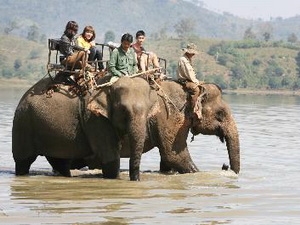 Đắk Lắk: Độc đáo tour du lịch voi ở buôn Jun