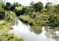 Vườn quốc gia Chư Mom Ray (Kon Tum): Di sản ASEAN trên cao nguyên xanh