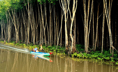 Vườn quốc gia Mũi Cà Mau sắp trở thành khu Ramsar mới của thế giới