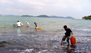 Vui chơi trên các đảo của huyện Kiên Lương, Kiên  Giang