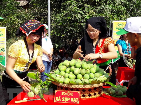 Sơn La: Tưng bừng khai mạc Ngày hội xoài Yên Châu năm 2018