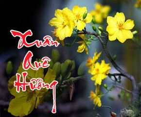Họp báo giới thiệu Chương trình 